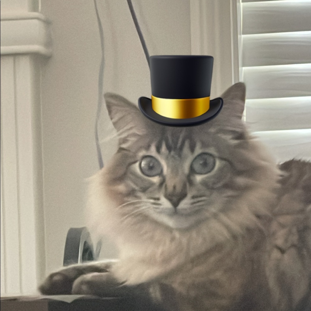 Meet your Posher, Kahle